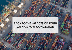 Back to the impact of South China's port congestion